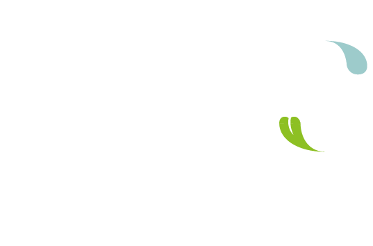 Des Solutio